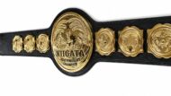 CNC Belts